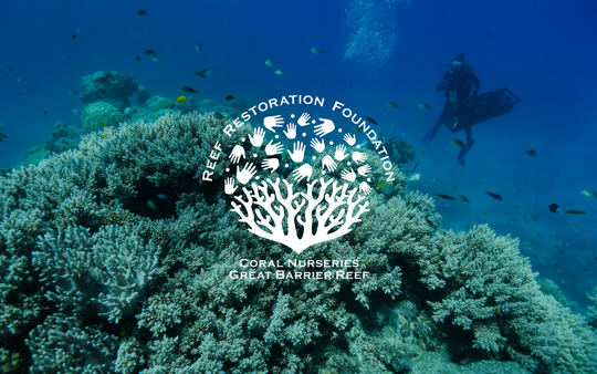The Reef Restoration Foundation